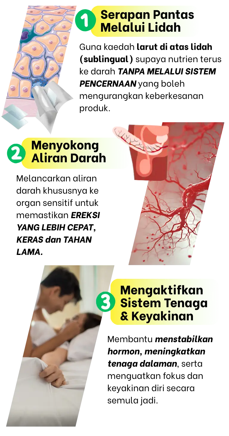 Cara produk berfungsi