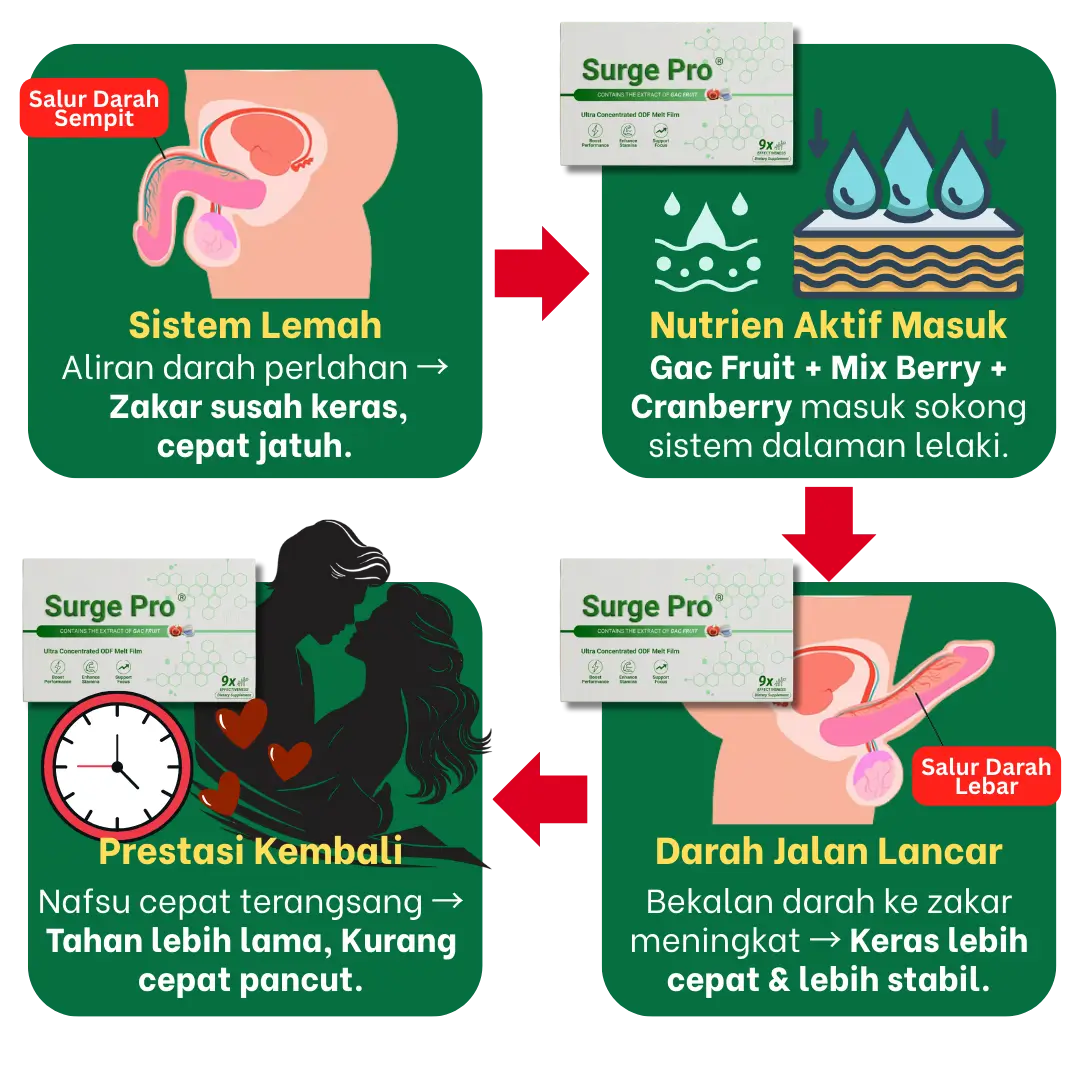 Penerangan produk